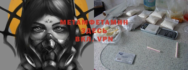 шишки Дмитров