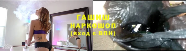 шишки Дмитров