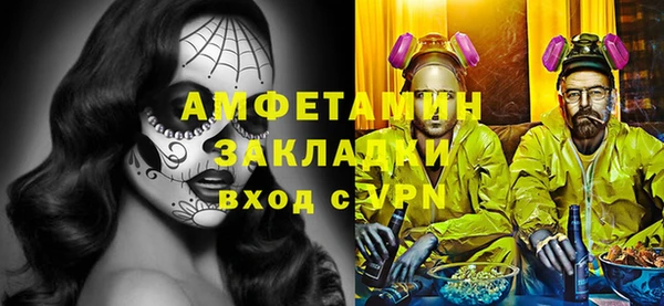 сатива Гусь-Хрустальный