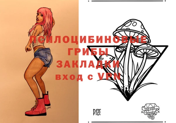 крисы Дмитриев