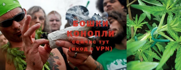 экстази Гусев