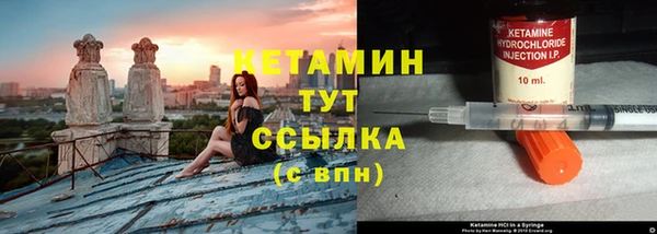 шишки Дмитров